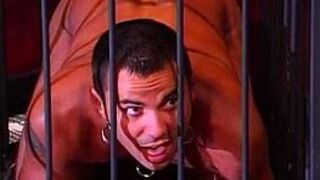 Doggy Boy Gets Tamed And Kicked Into His Cage By The Mistress - Free Porn Videos, Sex Movies - Domin porn video